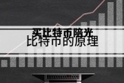 买比特币陪光 网友让买比特币