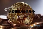 比特币5.09是多少 005比特币是多少钱