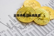 比特币和以太坊生态 比特币与以太坊的前景