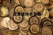 日本比特币公司 中国最大的比特币公司