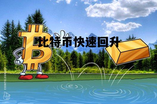 比特币快速回升 目前比特币持续上升