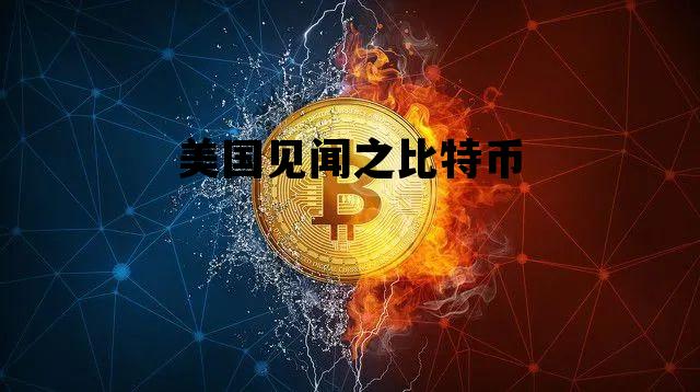 美国见闻之比特币 国外的比特币资讯网