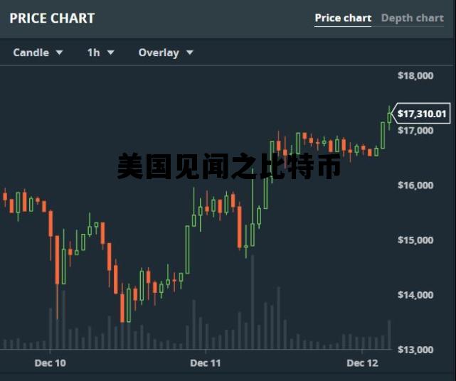 美国见闻之比特币 国外的比特币资讯网