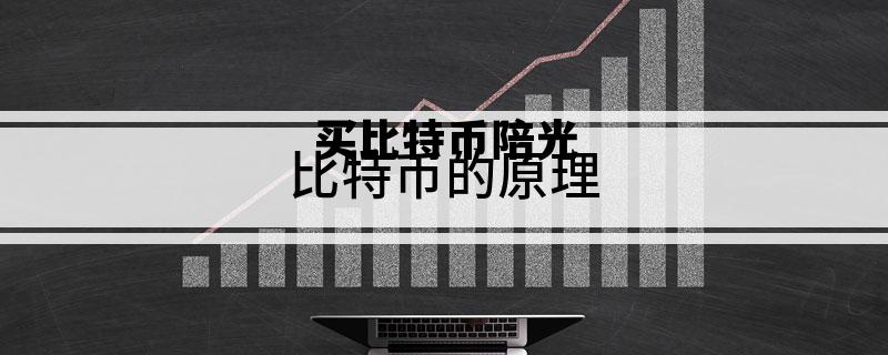 买比特币陪光 网友让买比特币