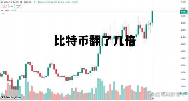 比特币翻了几倍 比特币翻倍2600万倍