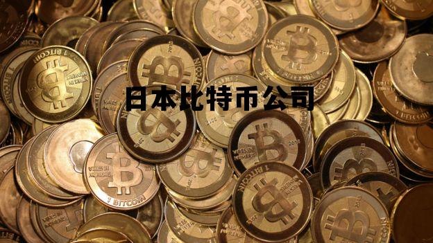 日本比特币公司 中国最大的比特币公司